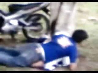 Չեղյալ ծրագրեր