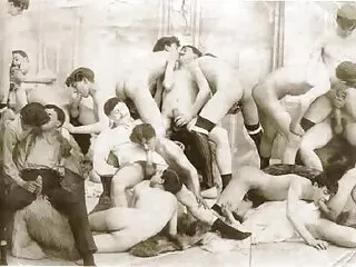 Կիսապտույտ արաբ ճուտը ոտքերը բացում է և խորշերով ներծծված գնդակներ ստանում